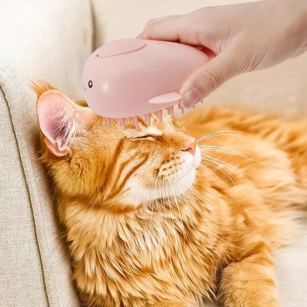 Cat Steam Brush 3 In 1