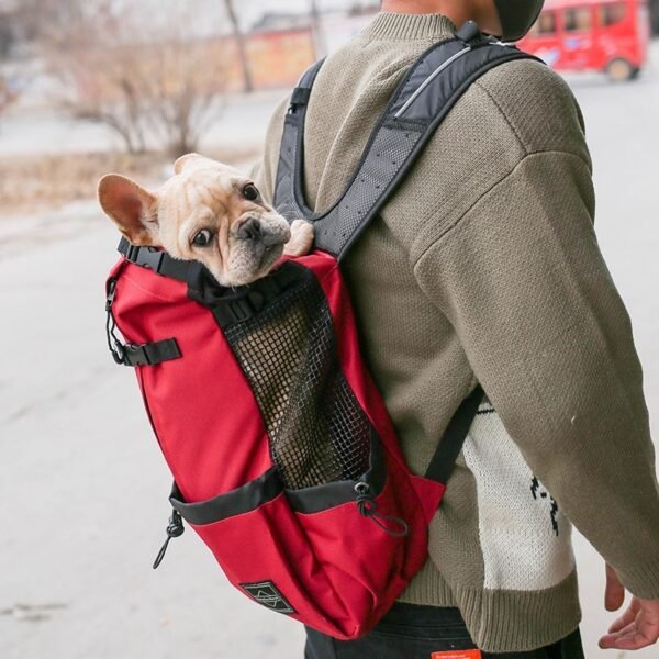 Dog Travel Backpack